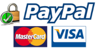secure online payments